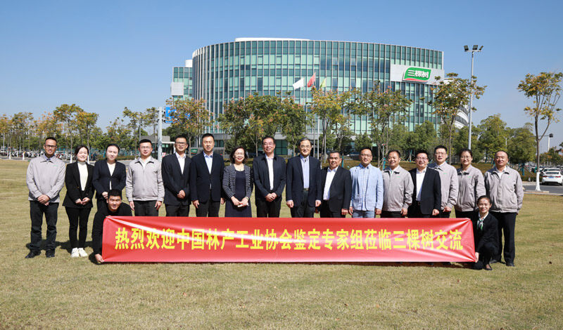 中國(guó)林產(chǎn)工業(yè)協(xié)會(huì)鑒定專家組蒞臨交流