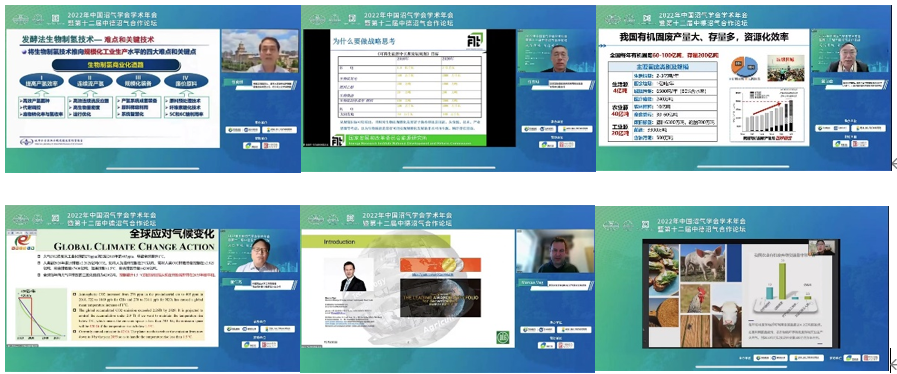 medias-uploads/ty-202208/2dbe4e613be82f84b87ee41cdeb47f04.png image.png